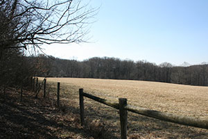 Farm