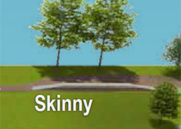 skinny as described in caption