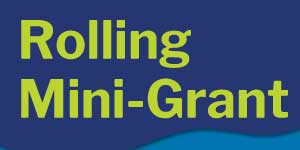 VPP Mini Grant